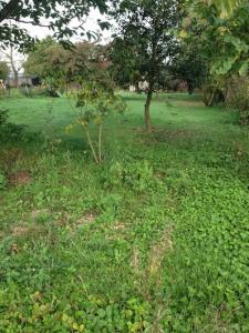 Acheter Terrain 285 m2 Bondy