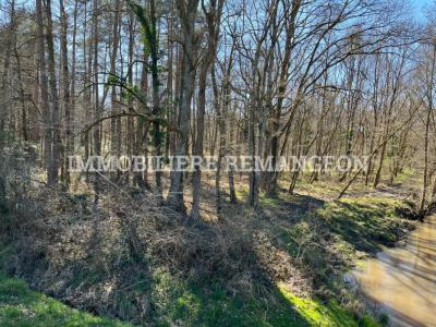 For sale Lamotte-beuvron 20 rooms 420 m2 Loir et cher (41600) photo 1