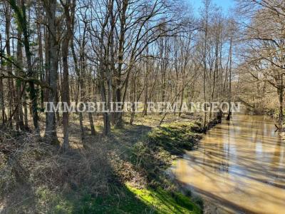 For sale Lamotte-beuvron 20 rooms 420 m2 Loir et cher (41600) photo 2