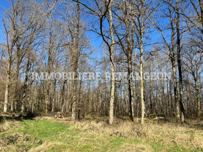 For sale Lamotte-beuvron 20 rooms 420 m2 Loir et cher (41600) photo 4