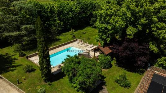 Acheter Prestige Tournus Saone et loire