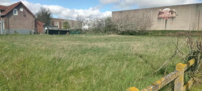 Annonce Vente Terrain Grenay 62