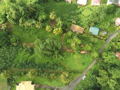 For sale Lorrain 2048 m2 Martinique (97214) photo 0