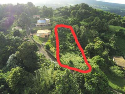 Annonce Vente Terrain Lorrain 972