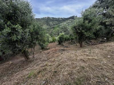 For sale Nice 2450 m2 Alpes Maritimes (06000) photo 0