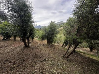 Acheter Terrain Nice 399000 euros