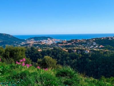 For sale Falicon 1065 m2 Alpes Maritimes (06950) photo 0