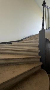 Annonce Location 3 pi�ces Appartement Nancy 54