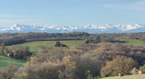 Annonce Vente Prestige Scieurac-et-floures 32