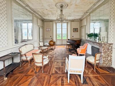 Acheter Prestige 600 m2 Chatillon-sur-indre