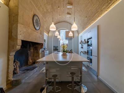 Acheter Prestige 460 m2 Uzes