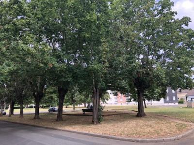 Annonce Location Appartement Chatre 36