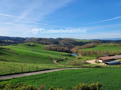Acheter Maison Sainte-colombe-sur-gand Loire
