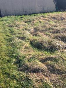 Acheter Terrain 460 m2 Saint-mard