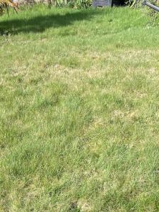 Acheter Terrain 400 m2 Saint-pathus