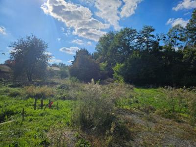 Acheter Terrain Martillac 219530 euros