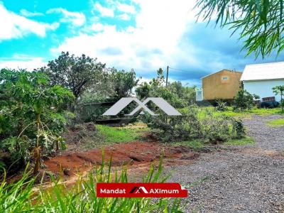 Annonce Vente Terrain Riviere-saint-louis 974