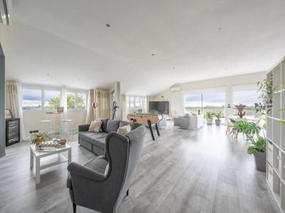Acheter Prestige 364 m2 Saint-palais