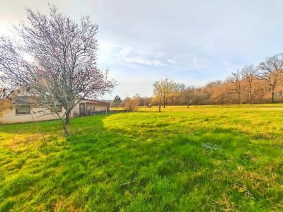 Annonce Vente 4 pi�ces Maison Levis 89