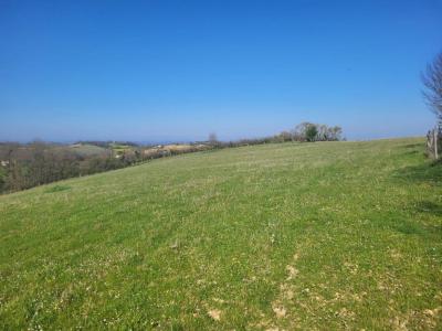 Annonce Vente Terrain Pebees 32