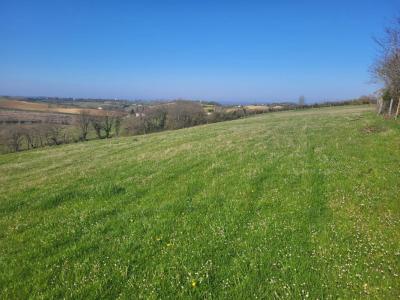 Acheter Terrain 3000 m2 Pebees