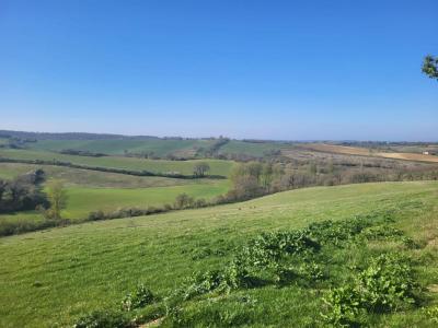 Annonce Vente Terrain Samatan 32