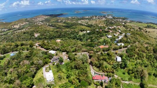 Annonce Vente Terrain Francois 972