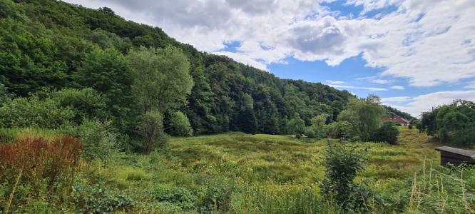 For sale Rougegoutte 3735 m2 Belfort (90200) photo 2