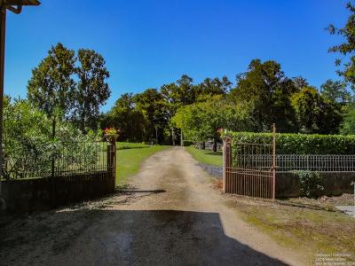 Annonce Vente 4 pi�ces Maison Orthez 64