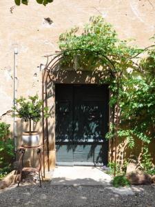 Acheter Prestige 490 m2 Ferrals-les-corbieres