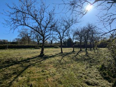 Annonce Vente 5 pi�ces Maison Campbon 44