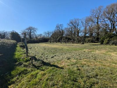 Acheter Maison 91 m2 Campbon