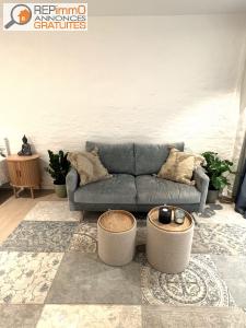 For rent Poitiers Rue de la Regratterie, 2 rooms 40 m2 Vienne (86000) photo 1