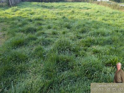 For sale Prinquiau 997 m2 Loire atlantique (44260) photo 0