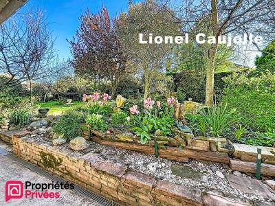 Acheter Maison 228 m2 Rabastens