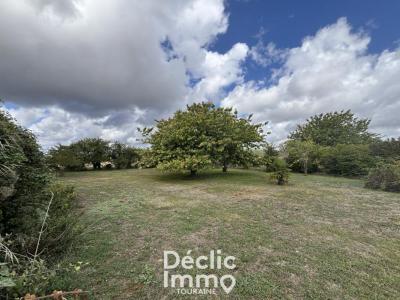 Annonce Vente 7 pi�ces Maison Jaulnay 37