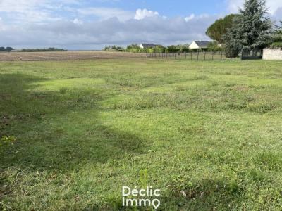 For sale Lemere 1596 m2 Indre et loire (37120) photo 0