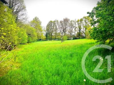 Annonce Vente Terrain Vicq-sur-breuilh 87