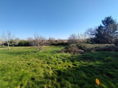 Annonce Vente Terrain Magdelaine-sur-tarn 31
