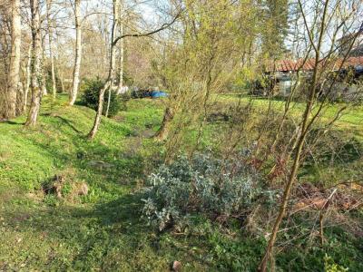 Acheter Maison Torcy Pas de calais