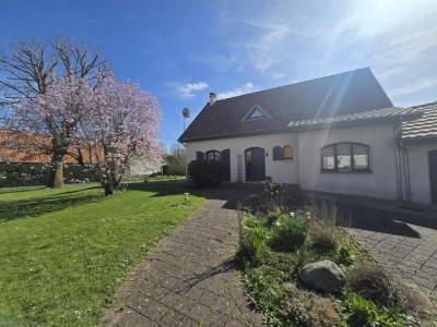 Annonce Vente 7 pi�ces Maison Izel-les-hameaux 62