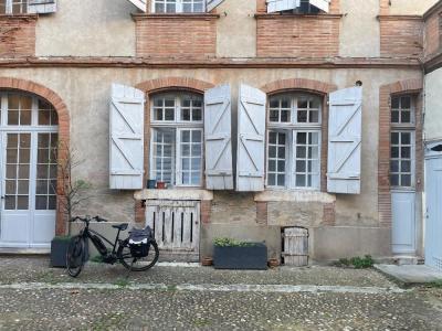 Annonce Location 2 pi�ces Appartement Montauban 82