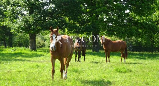 For sale Bouguenais 6 rooms 194 m2 Loire atlantique (44340) photo 2