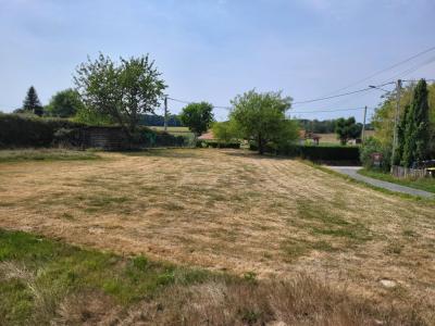 Annonce Vente Terrain  01
