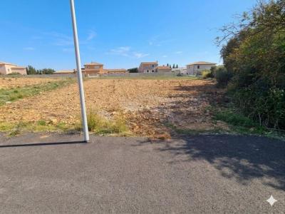 Annonce Vente Terrain Palme 11