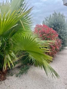 Acheter Maison 77 m2 Pinet