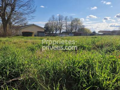 For sale Laruscade 500 m2 Gironde (33620) photo 0