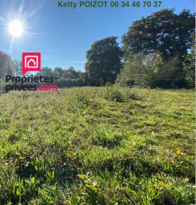 For sale Suce-sur-erdre 726 m2 Loire atlantique (44240) photo 0