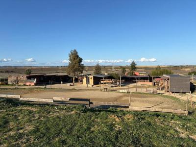 Annonce Vente Prestige Bassan 34