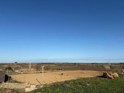 Acheter Prestige Bassan Herault